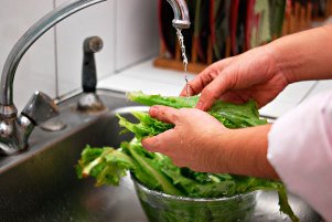 Wash vegetables