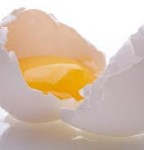 هر انسان سالمی باید روزی یک تخم مرغ بخورد