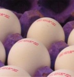 نکات کلیدی در مورد نگهداری از تخم مرغ